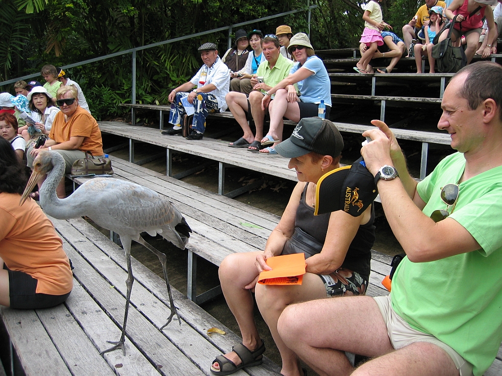 111 Cairns Tropical Zoo.jpg